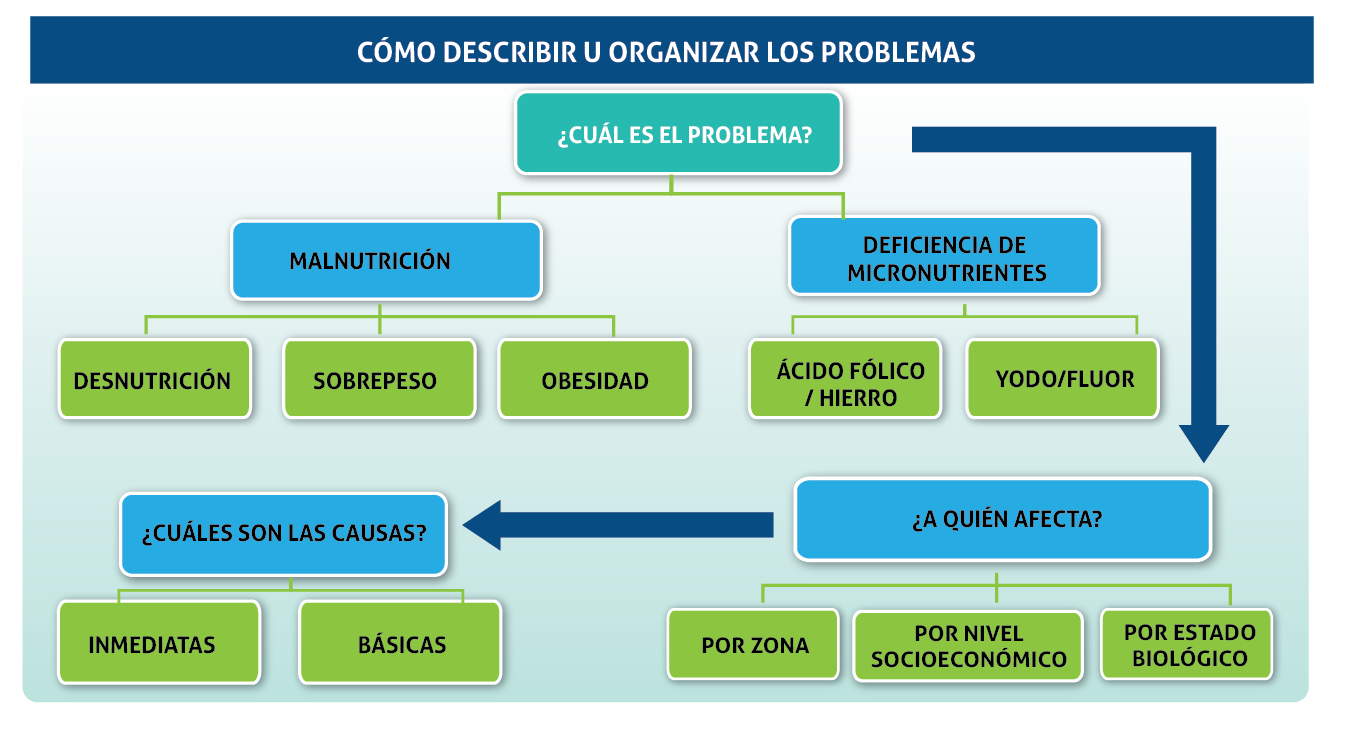 elementosdeestructura