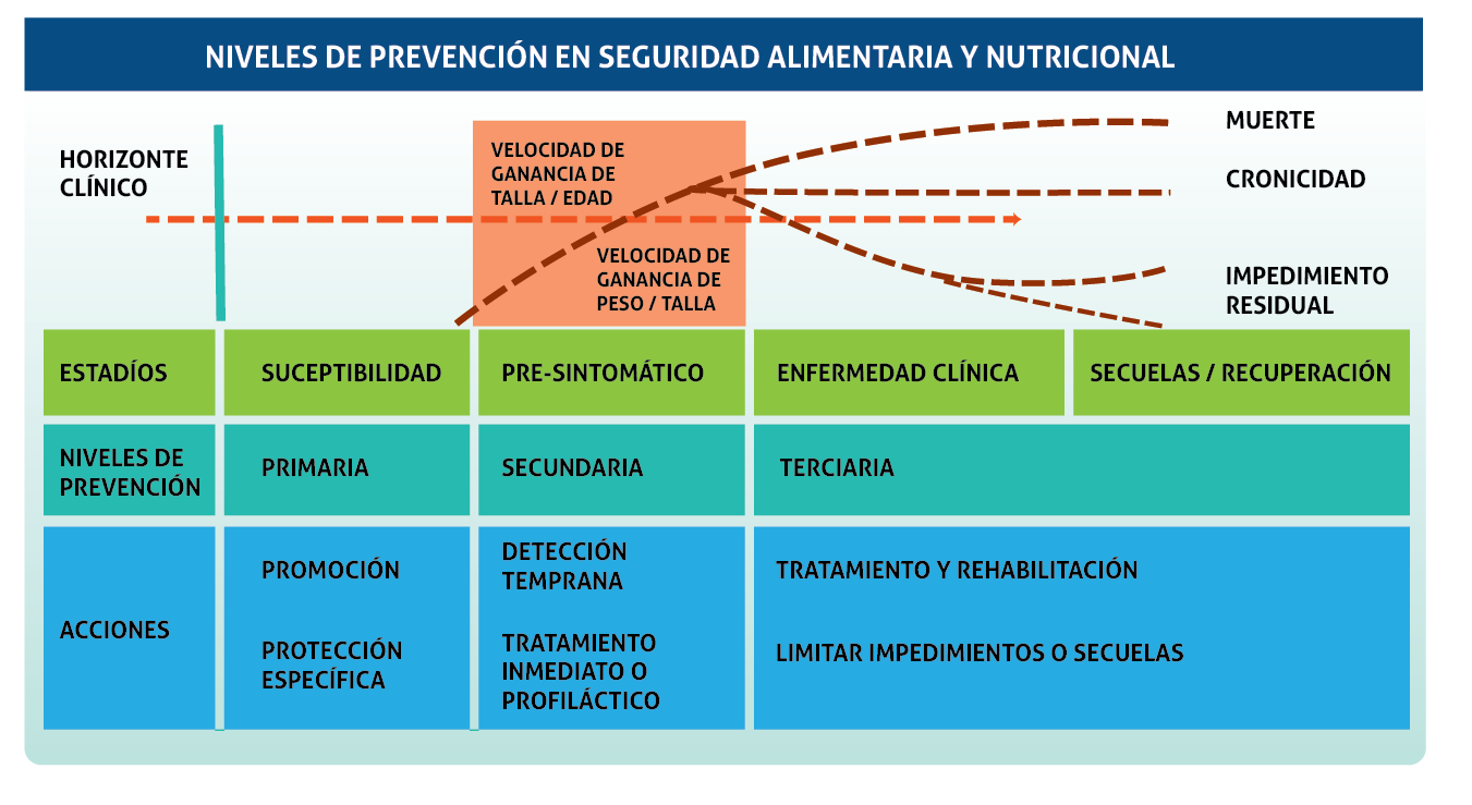 seguridadalyn tres