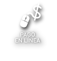 Pago en Línea