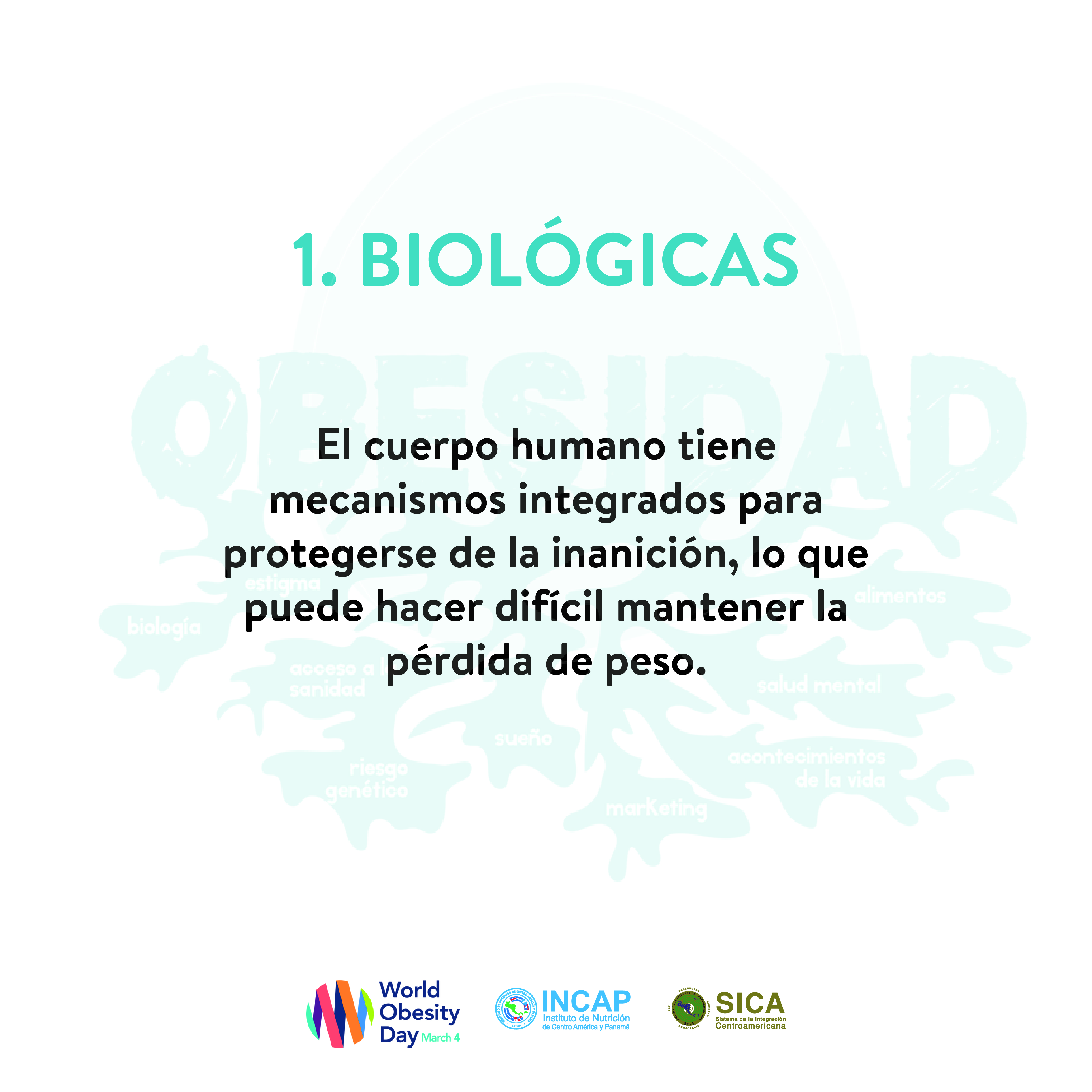 1 DA MUNDIAL DE LA OBESIDAD 4 DE MARZO Mesa de trabajo 1 copia
