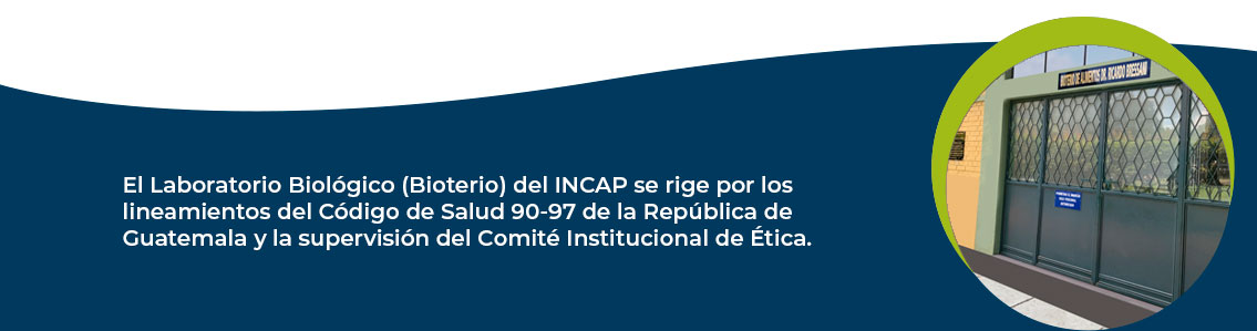tercera fotob