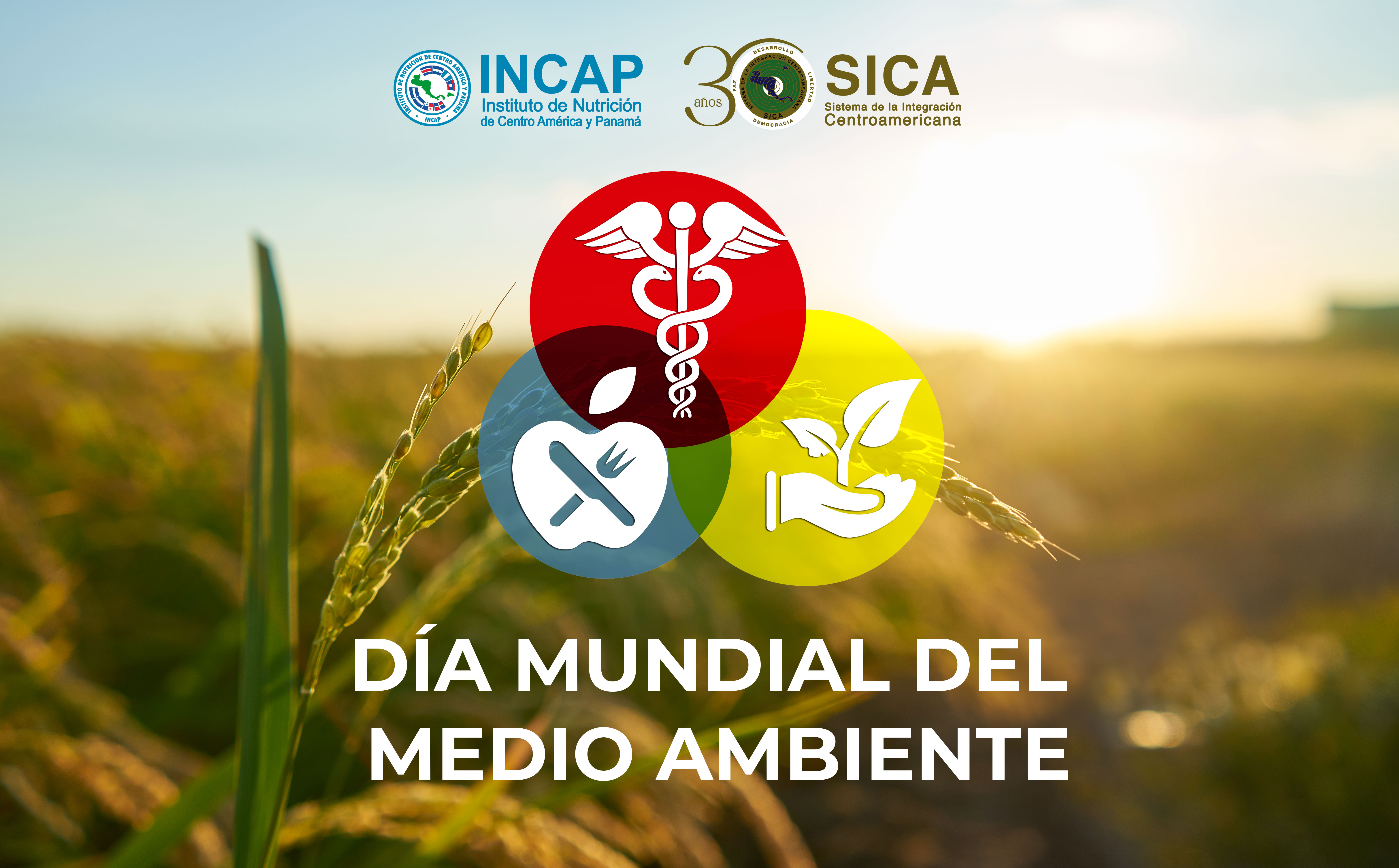 MEDIO AMBIENTE 2021