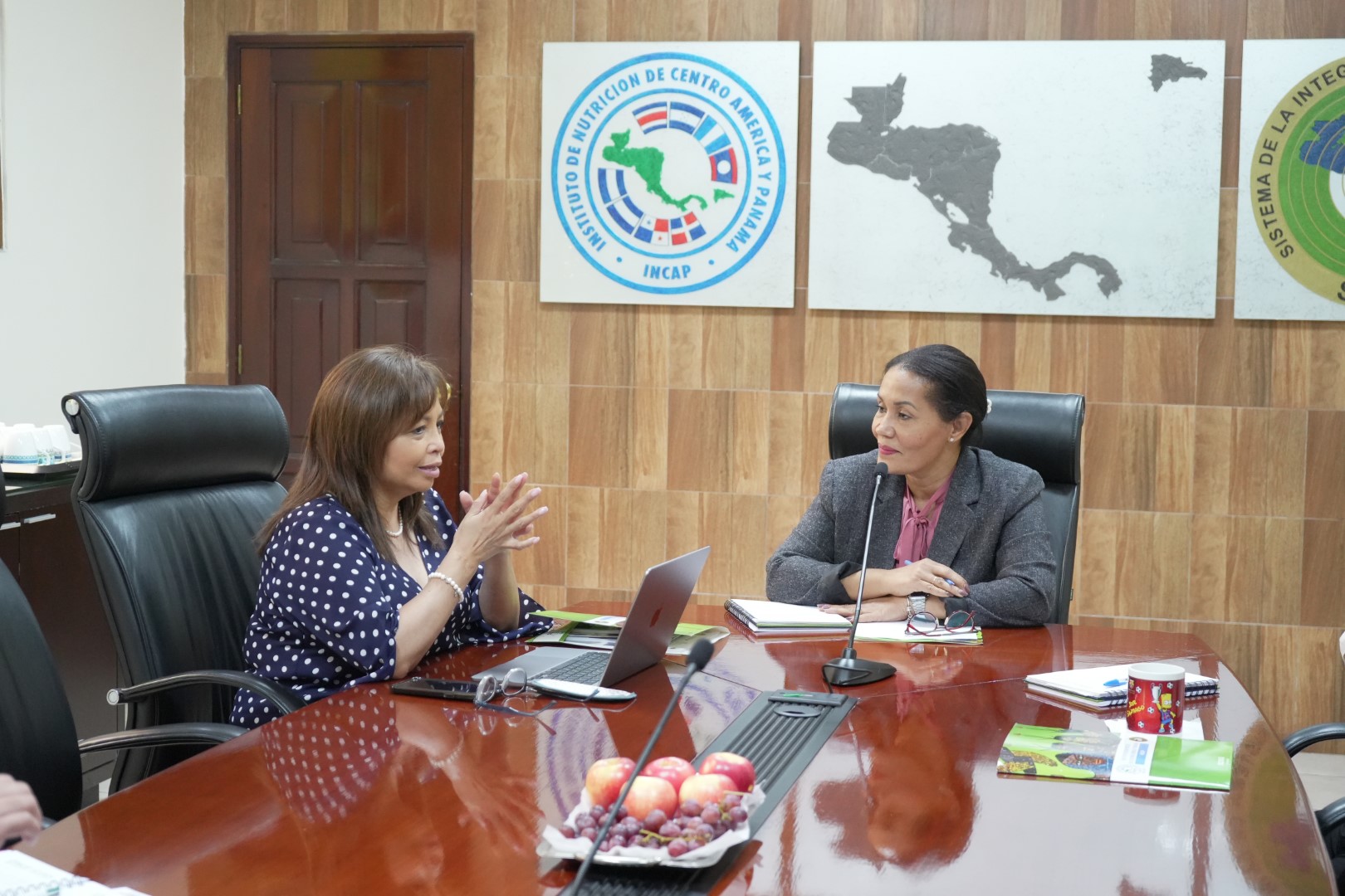 Reunin con Dra Lucrecia Rodrguez SE CAC 3 Grande