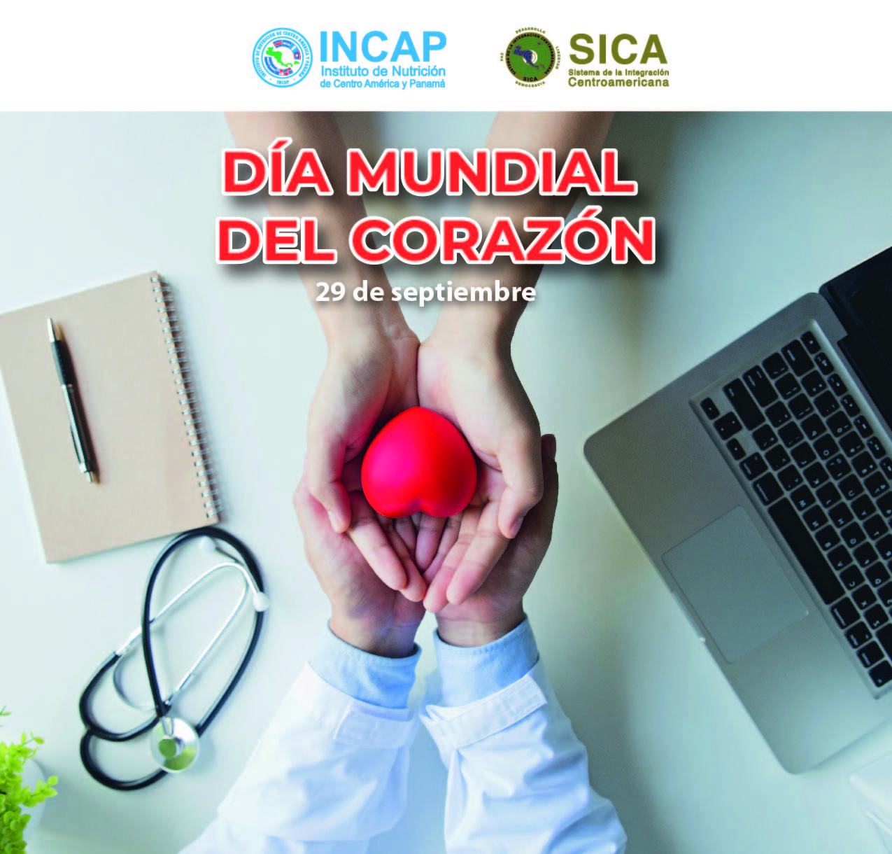 diacorazon Mesa de trabajo 1 002