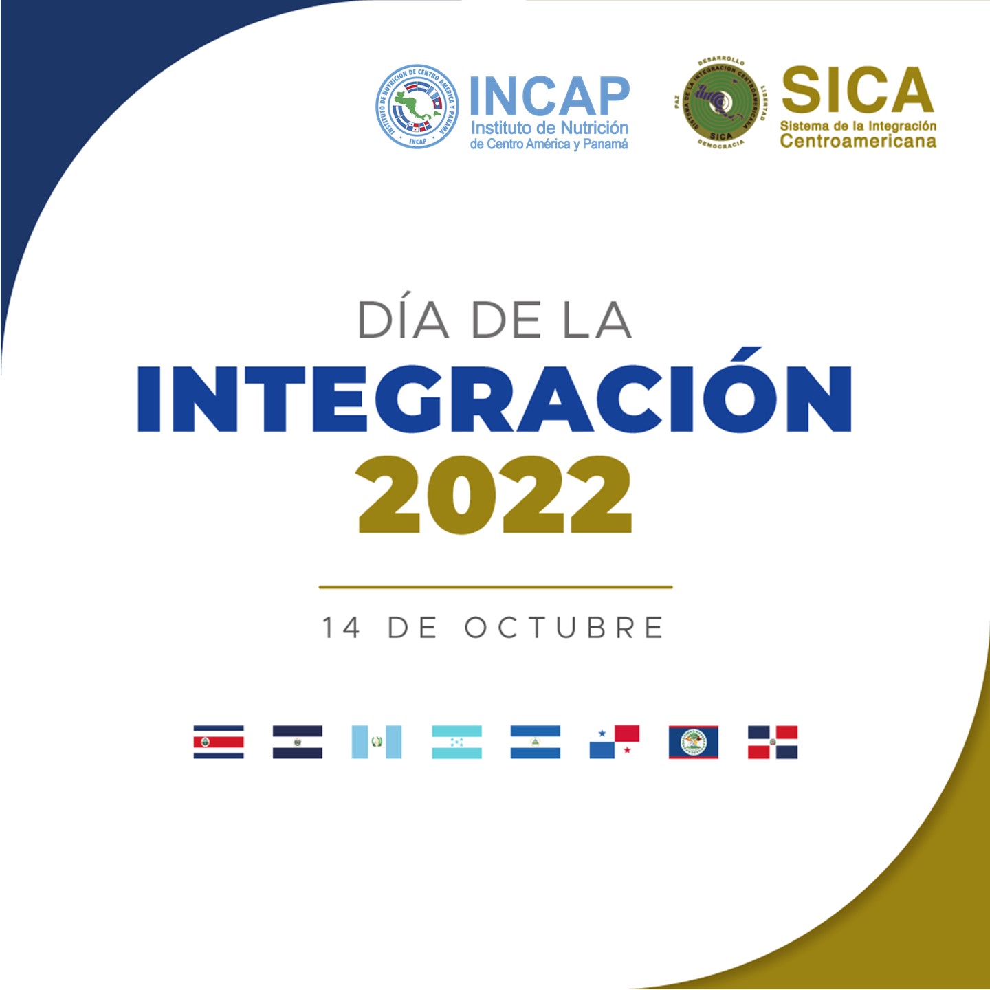 Artes editables versin FB cuadrada Da de la Integracin 2022
