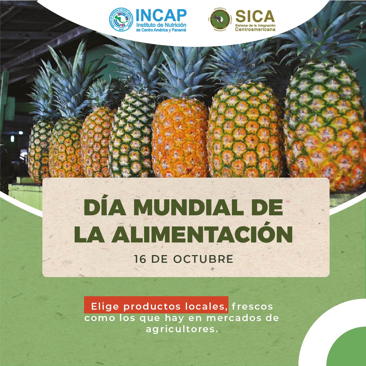 Día mundial de la alimentación: cuáles son los esenciales en un