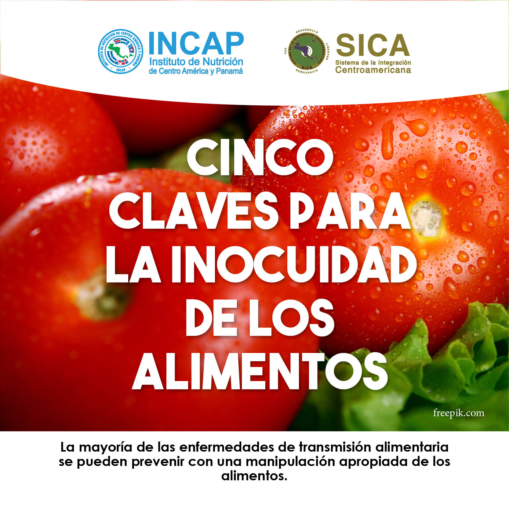 INOCUIDAD0
