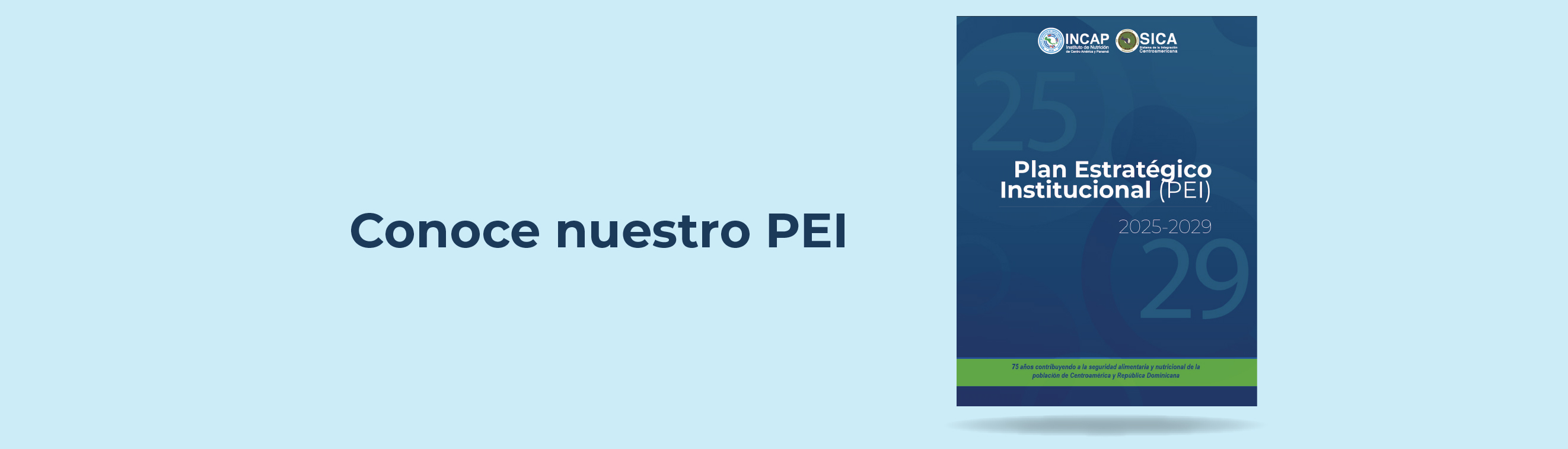 Inicio